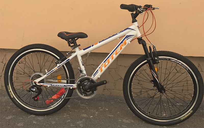 Велосипед Totem SHARK MTB 24